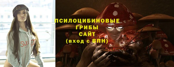 молекула духа Богородск