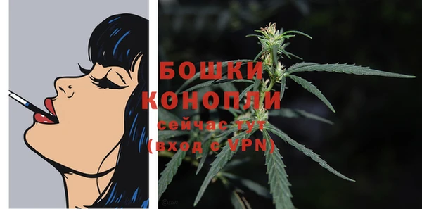 ГАЛЛЮЦИНОГЕННЫЕ ГРИБЫ Богородицк