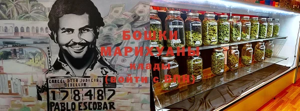молекула духа Богородск