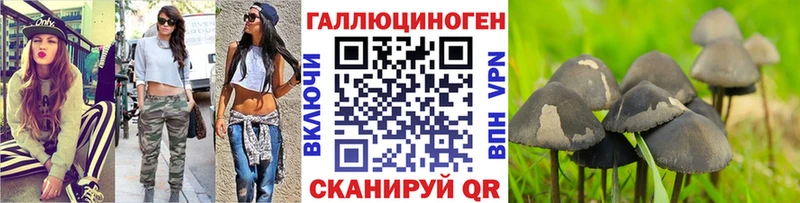 Псилоцибиновые грибы мицелий Чёрмоз