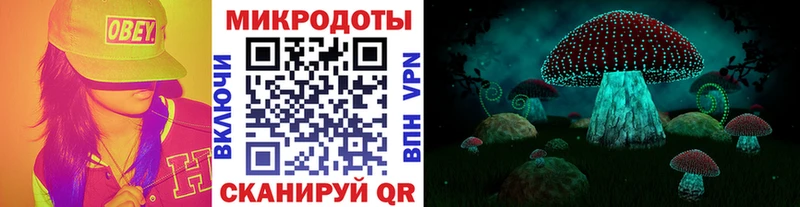 Псилоцибиновые грибы Psilocybe  Чёрмоз 